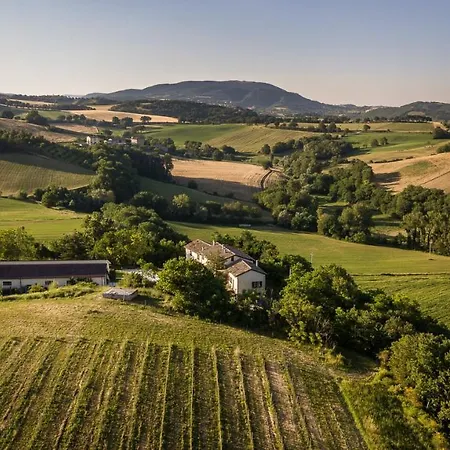 Podere Coldifico *