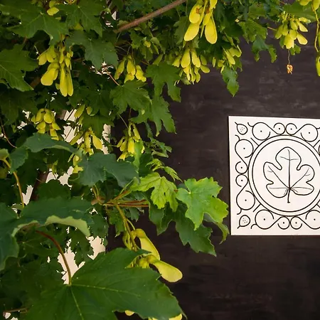 Podere Coldifico Vakantieboerderij