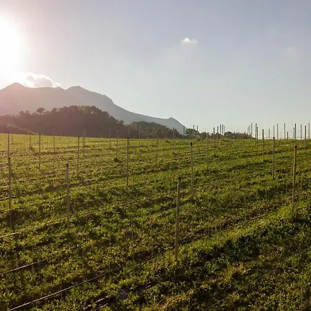 Podere Coldifico Farm stay *